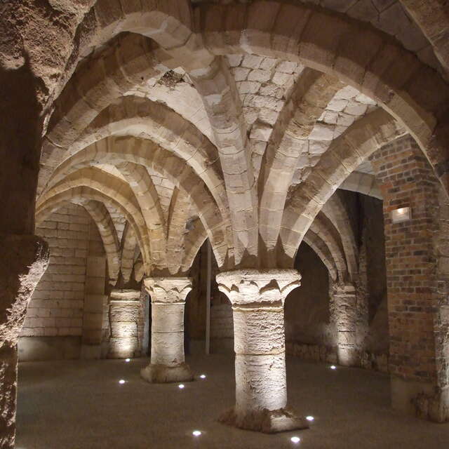 Atelier de Dégustation Sensorielle