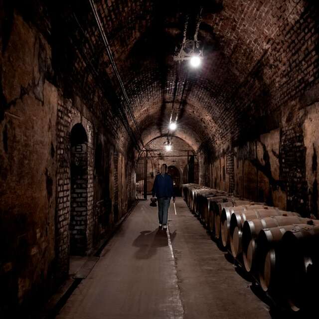 Champagne Guy Charbaut