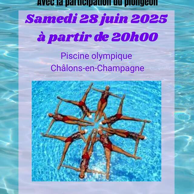 Gala de Natation Artistique