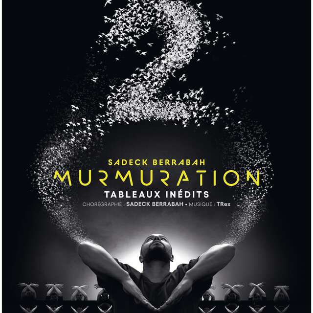 Spectacle : Murmuration - Level 2