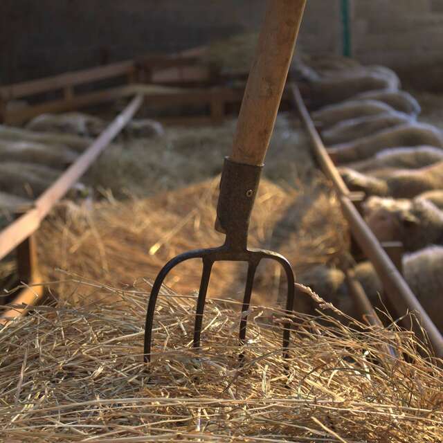Ferme de la Genevroye