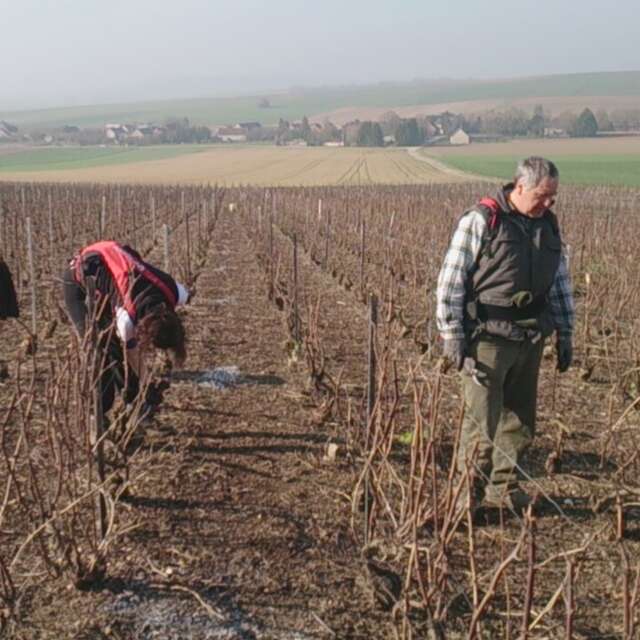 Champagne Bernard Bijotat