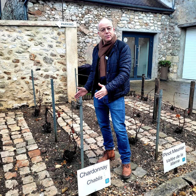 Champagne Lévêque Dehan