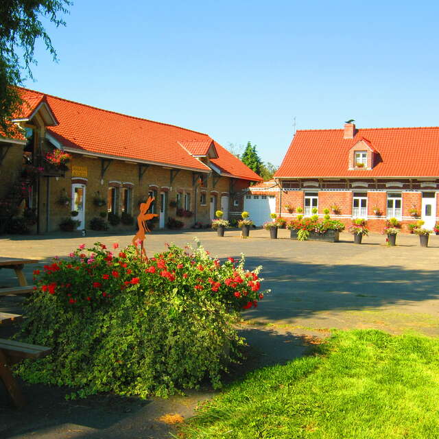 Ferme des saules - camping