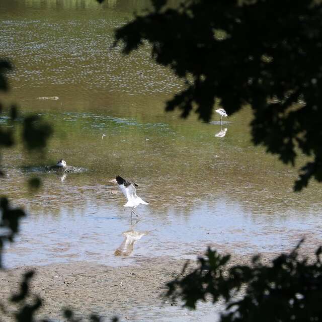 Le sentier de Bo-wé