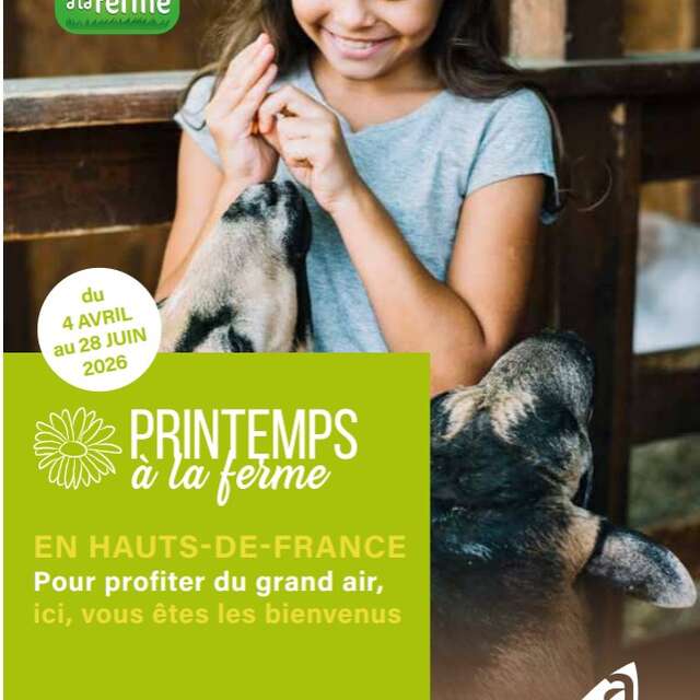 Printemps à la ferme : 1er lâcher de chevaux et marché artisanal