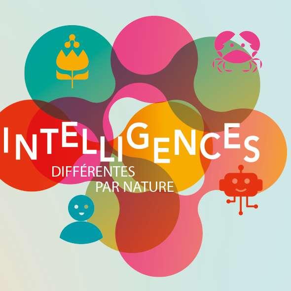 "Intelligences différentes par nature"