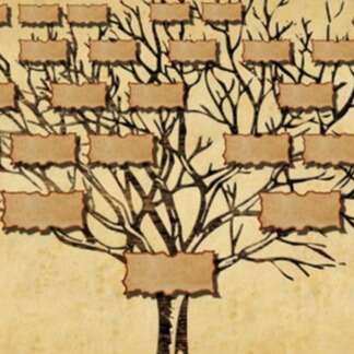 Animation généalogie