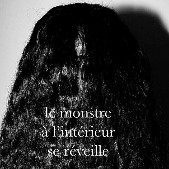 "Les Amazones n'existent pas" exposition du duo PLY