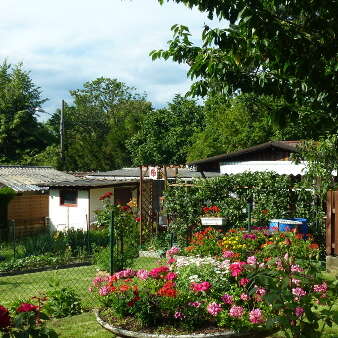 Guided tour of the Haut Rebberg district