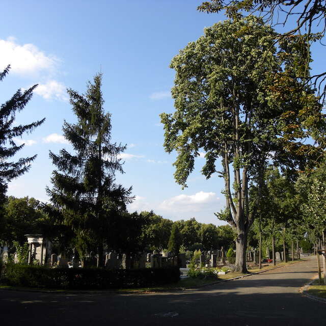 Guided tour : the cemetary, between art and history