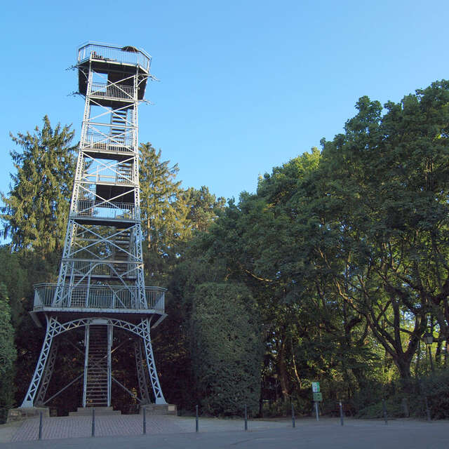 Going up to the Belvedere