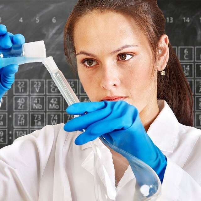 Science festival