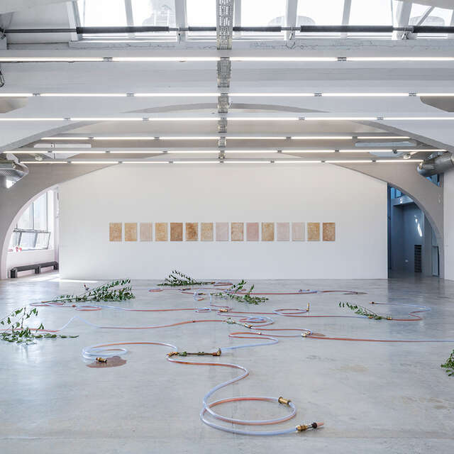 Visite commentée de l'exposition Déborder la rivière