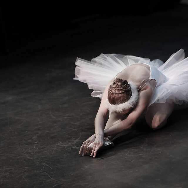 Spectacle : Le Lac des Cygnes