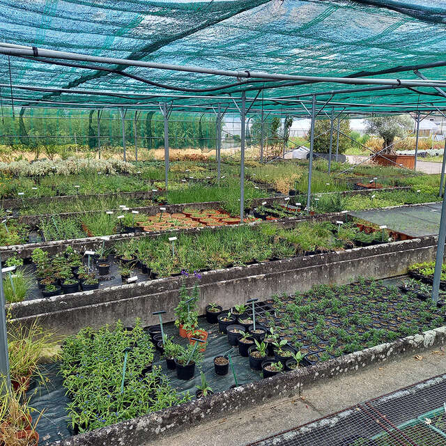 Visite guidée des serres de production horticole de la Ville de Mulhouse