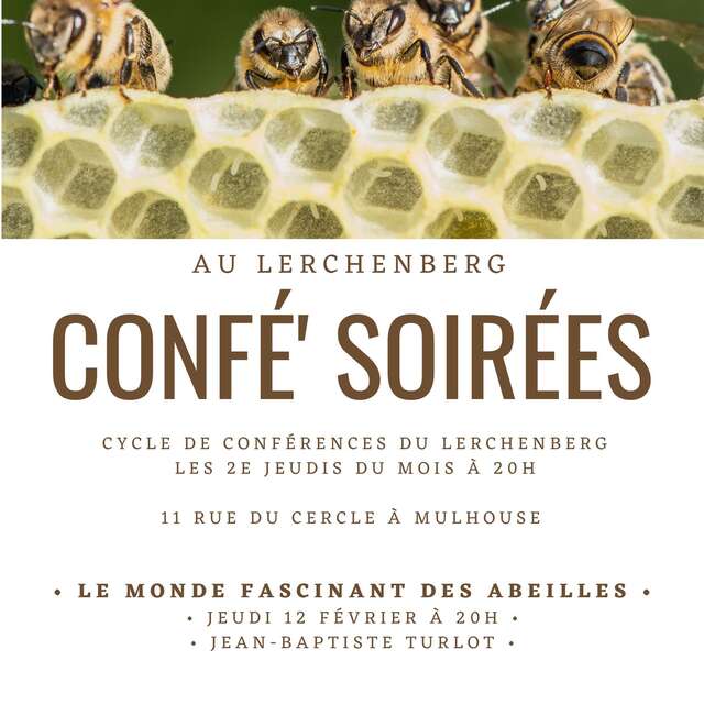 Confé' Soirées - The fascinating world of bees