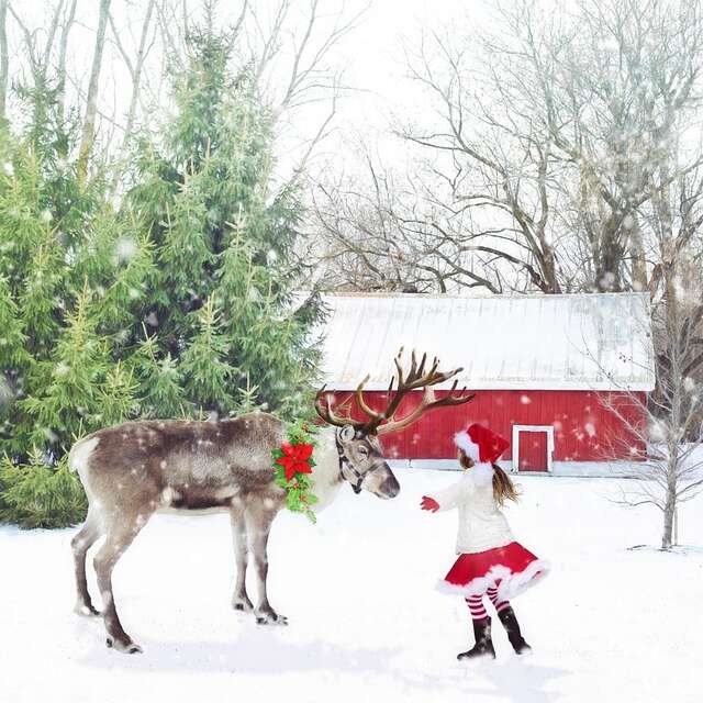 Spectacle de rue en déambulation : Les rennes de Noël