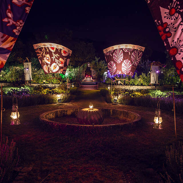 Féeries nocturnes au jardin