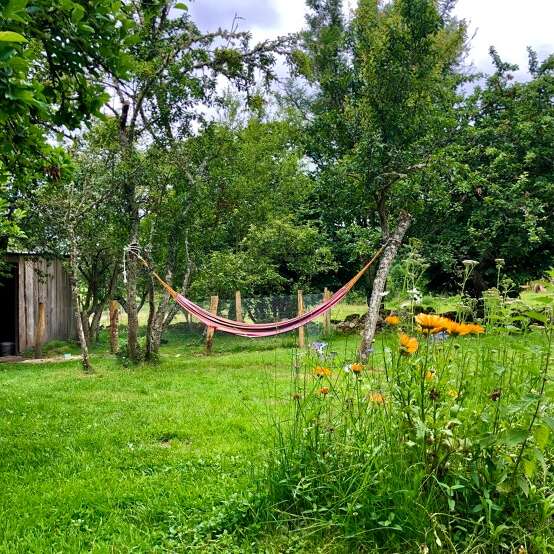 Les Soleils : camping