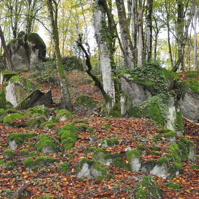 Circuit de randonnée  : Le tour du Jarissou