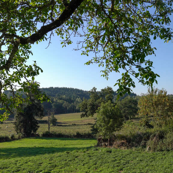 Circuit de randonnée : sentier ONF