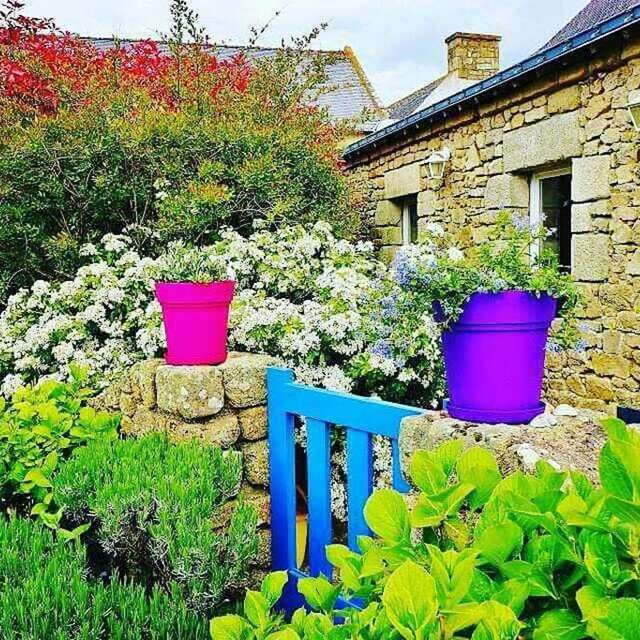 Blue Cottage