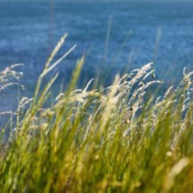 Dunes du Fogeo