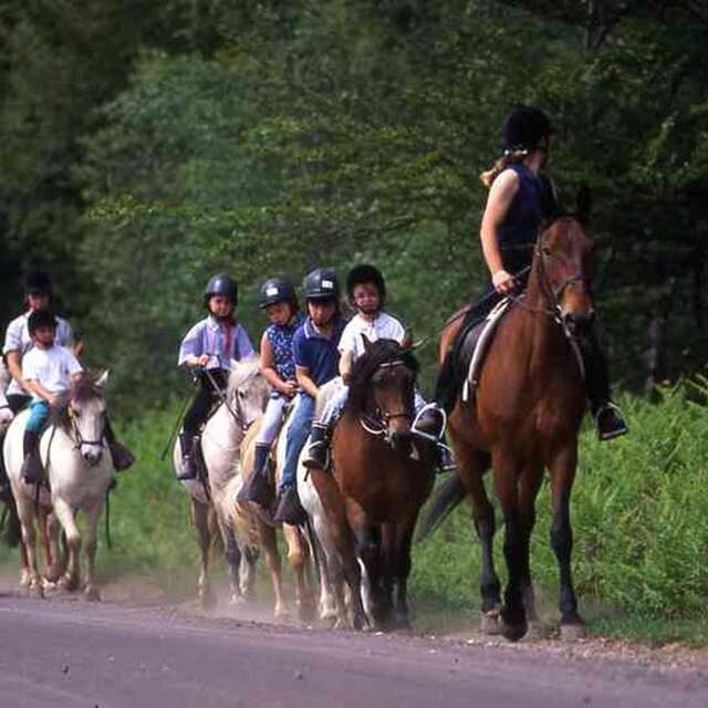 Centre Equestre des Menhirs