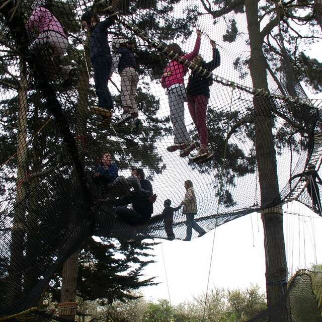 Parc d'aventure - Parcabout chien noir
