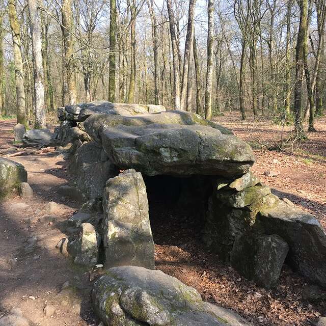 Allée couverte, mégalithes