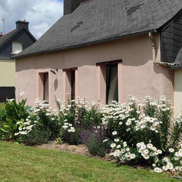 Des Racines & Des "L"