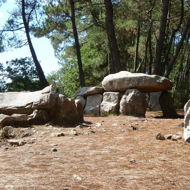 Site de Mane Kerioned