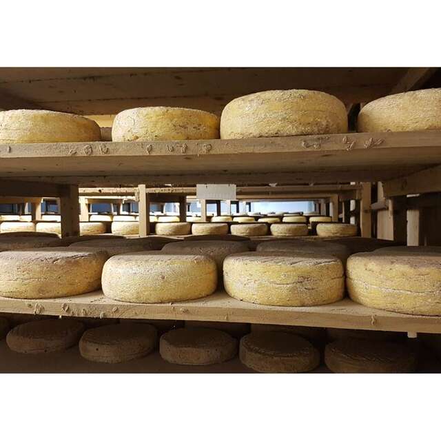 La Ferme Fromagère de Suscinio