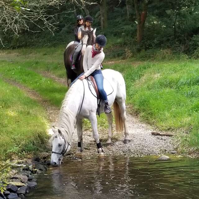 Ferme équestre de Lusenn