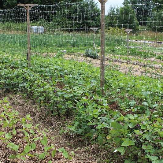 Le Jardin de 2'mains