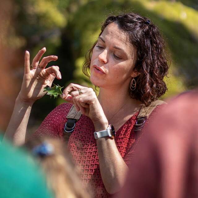 Les escapades de Julie - guide conteuse