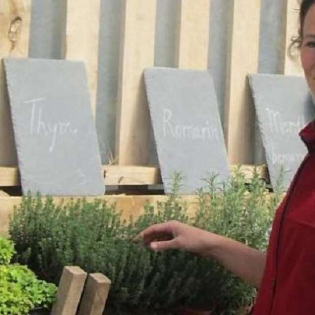Les Bons Plants de Manou