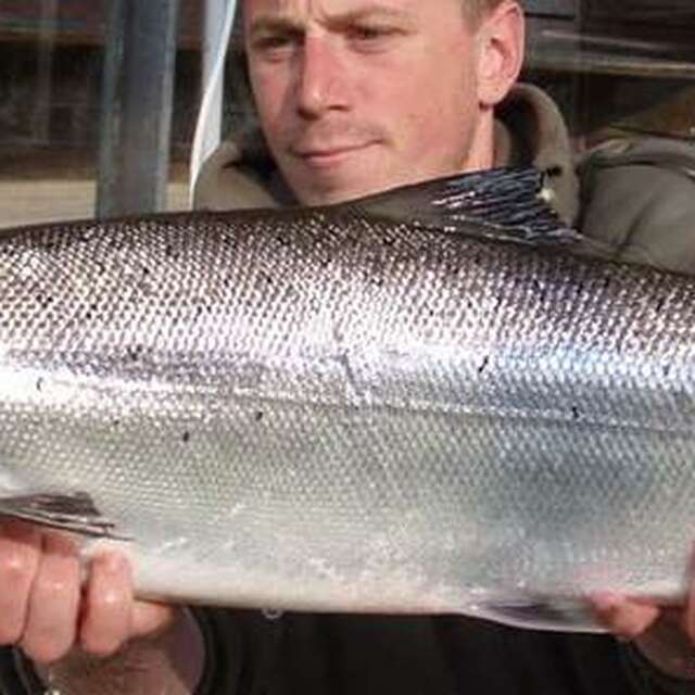 Pêche du Saumon sur le Scorff