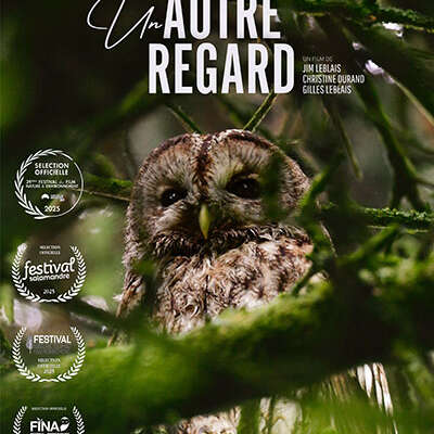 Projection-rencontre : Un autre regard