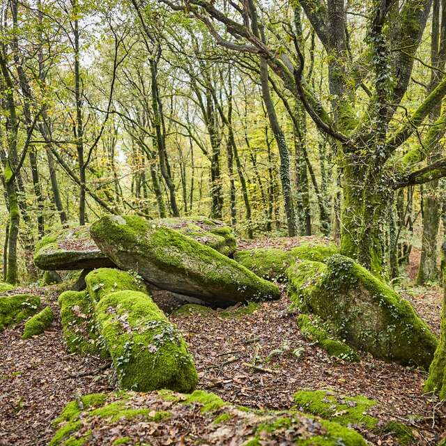 Dolmen de Roh Koh Koët