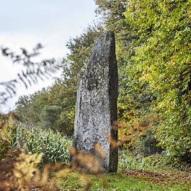Goeh menhir
