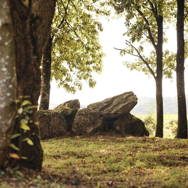Dolmen de Kergonfalz