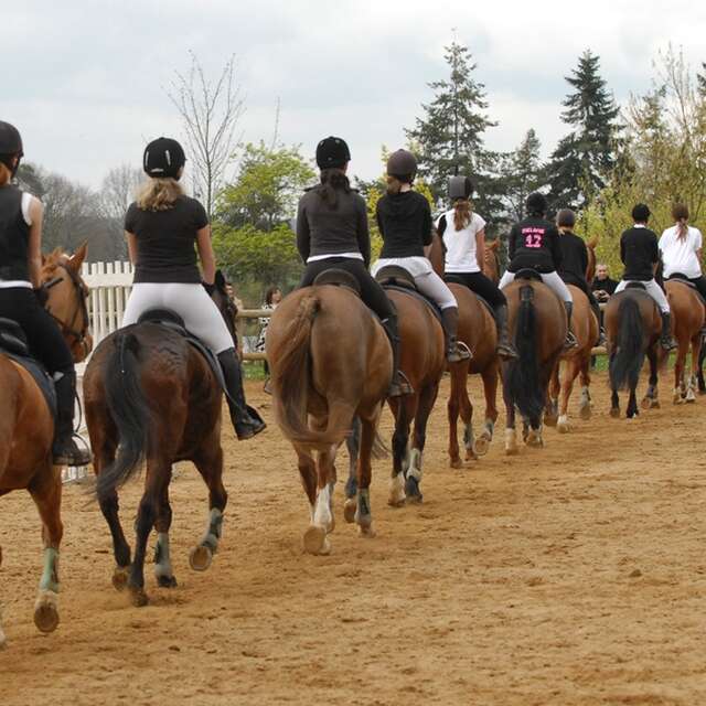 Centre équestre et poney club La Touche