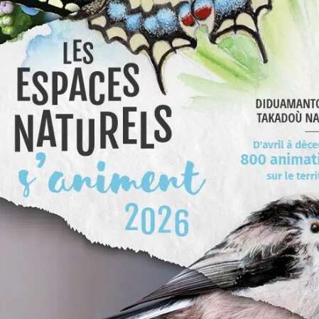 Les prés salés du Marais du Noténo