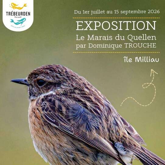Exposition extérieure - Le marais du Quellen