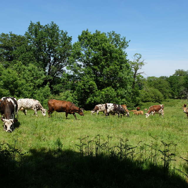 Ferme de la cerisaie