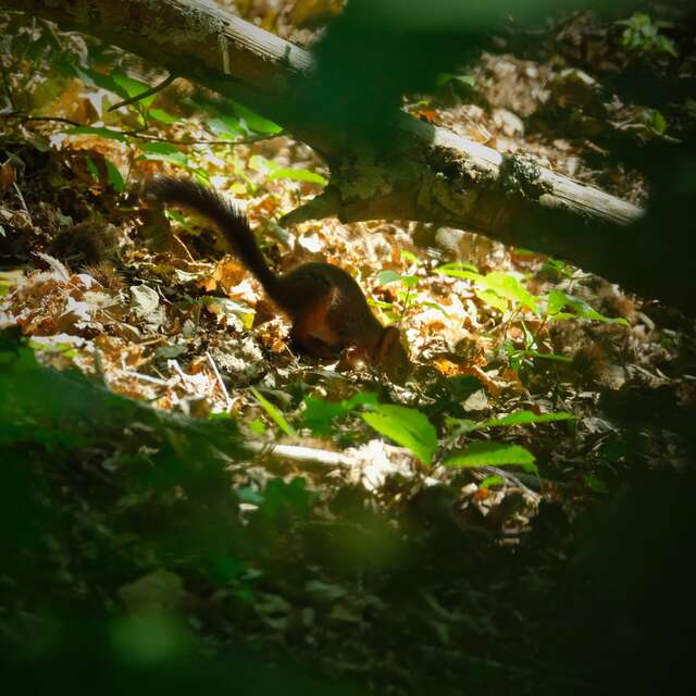 Balade pédagoqique dans la vallée des Traouiéro