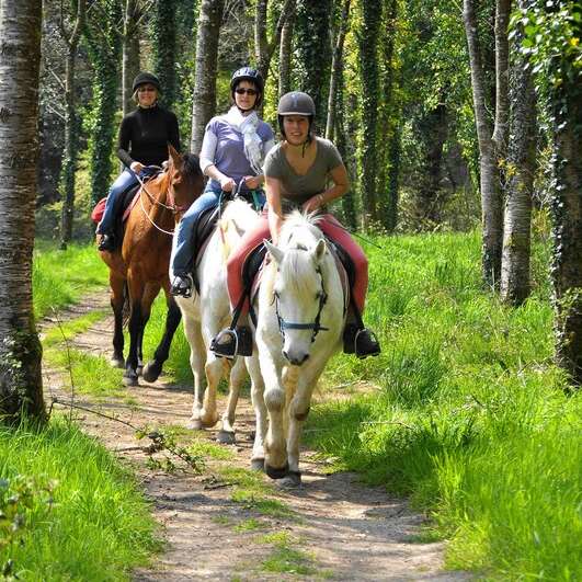 Centre équestre et poney club La Touche