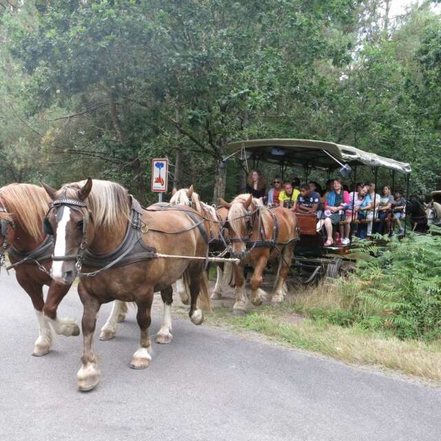 Ferme équestre de La Landelle